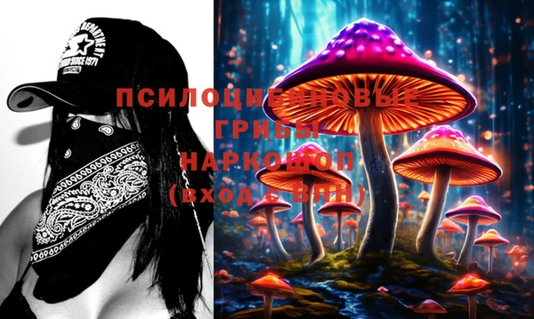 не бодяженный Арсеньев