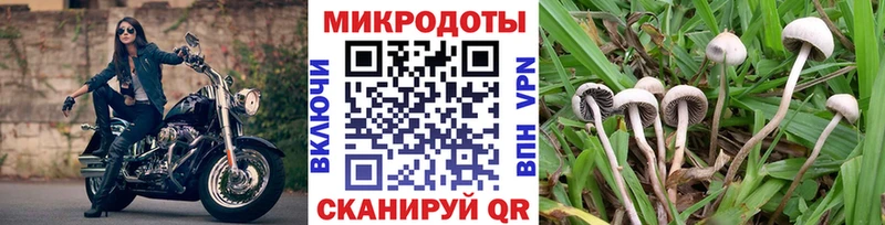 Псилоцибиновые грибы MAGIC MUSHROOMS  Фокино 